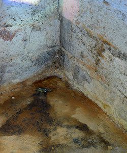The importance of crawl space inspections in Charlotte, NC